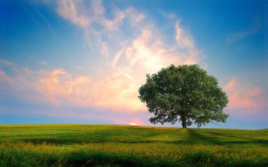 �����݄��M���x��Ͷ����u��